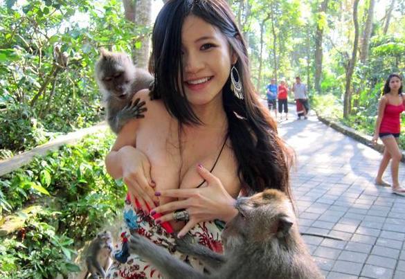 女游客在泰国遭遇猴子“吃豆腐”,老板表示:它在找母乳